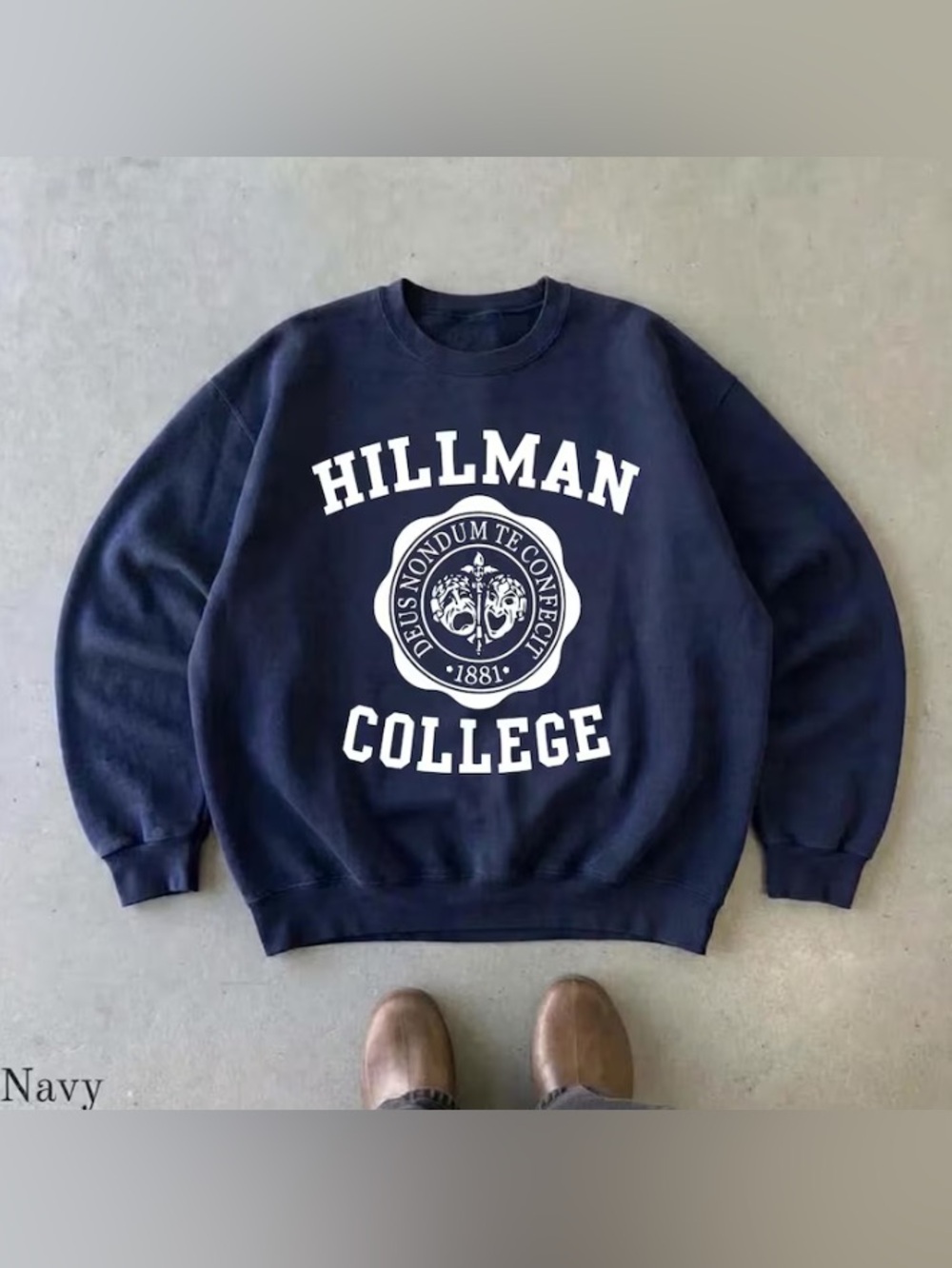 Hillman College 1881 University Graphic Sweatshirts, Vintage Style Apparel Tee